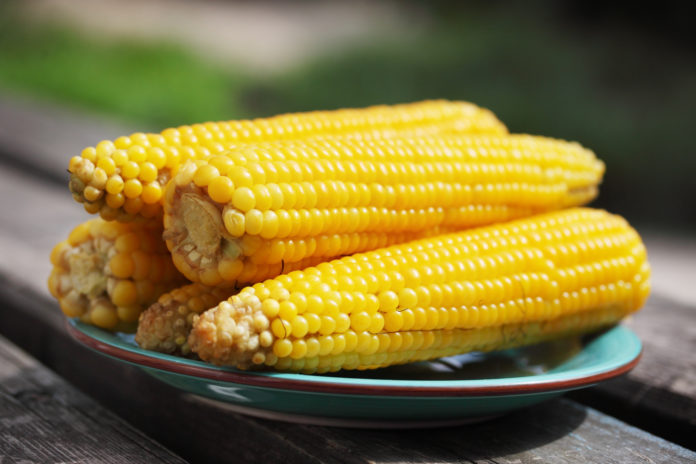 benefícios do milho benefícios do milho