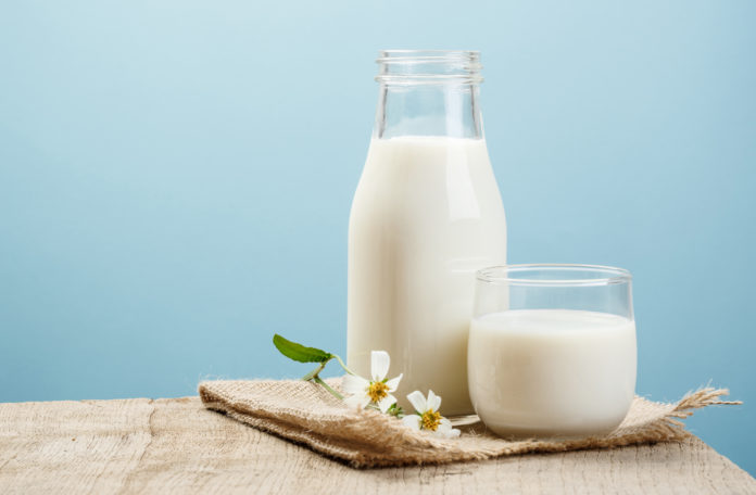 intolerância à lactose intolerância à lactose